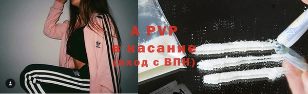 стафф Лабытнанги
