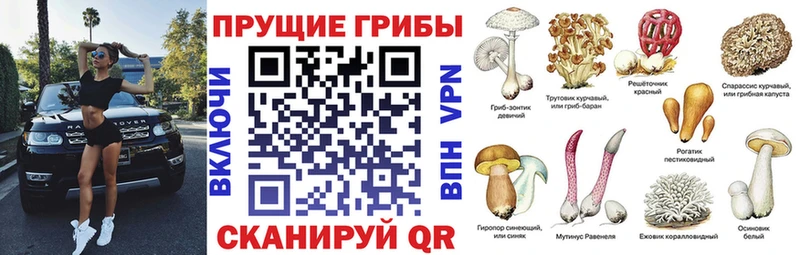Галлюциногенные грибы ЛСД  Николаевск 